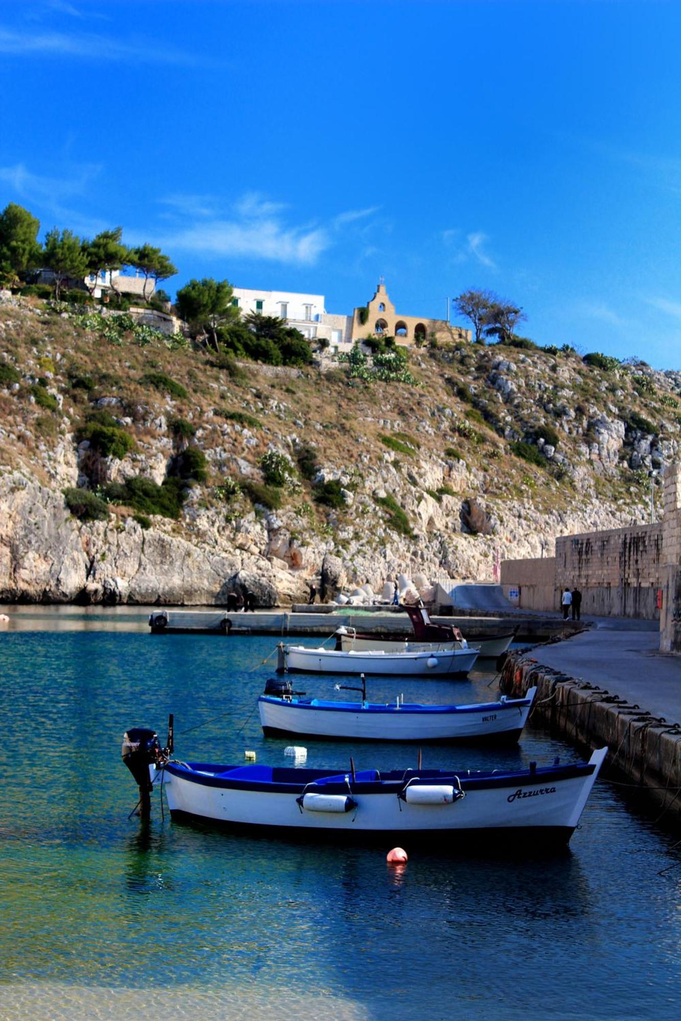 Degli Ulivi 3*
