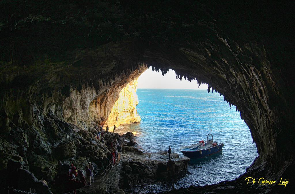 Degli Ulivi 3*